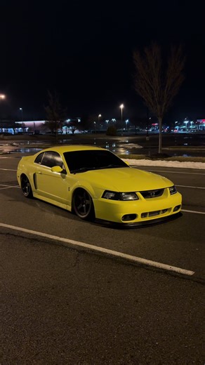 What chromes should I get for the front #terminator #bagged #mustang #ford #svtcobra