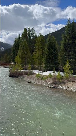 Spring River Walk | Colorado Rockies Nature Sounds