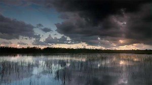 The Swamp: Trailer | American Experience | PBS