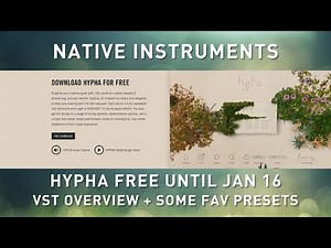 NATIVE INSTRUMENTS - HYPHA FREE VST - Overview + Some Presets
