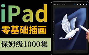 【ipad绘画教程】目前B站最完整的ipad零基础插画教程，包含所有procreate绘画技巧纯干货！