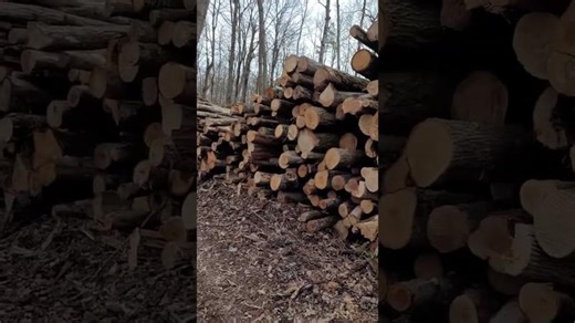 Mystery Hiker #22- Too Big To Fetch | Robert Starr