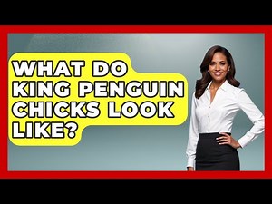 What Do King Penguin Chicks Look Like? - Polar Regions Uncovered