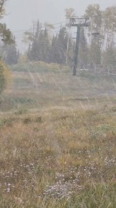 60K views · 3.3K reactions | Snowing & Blowing ️ ️ on Flowers ...