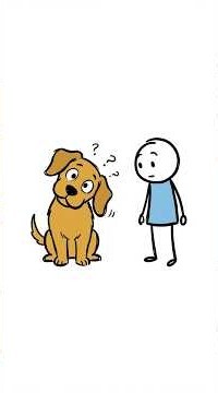 Why You Talk to Your Pets Like They're People #pets #psychology #anthropomorphism #brainfacts