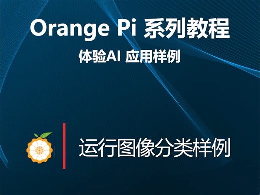【OrangePi 系列教程】体验AI应用样例：运行图像分类样例