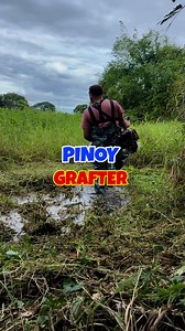 Kadugtong I recommend this Honda GX35 grass trimmer para sa inyong farm #honda gx35 | PINOY GRAFTER