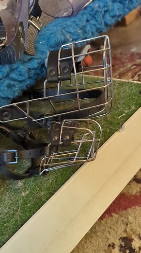 6.1K views · 97 reactions | What type of Muzzle have you found to be best for your dog?? . . . #MuzzleUpProject #MuzzleTraining #Muzzles | The Muzzle Up Project | Facebook