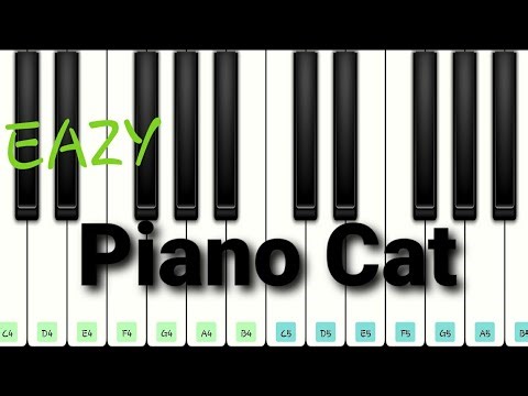 Tutorial Piano Cat (EAZY!)