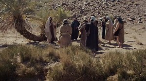 7.8K views · 251 shares | Mark 6:1-29 | Bible Quotes | Facebook