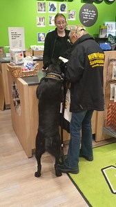 Idag fyller Hjältehunden Eldfängd's Truls Poseidon fem år. Det firade vi med att han fick välja vad han ville inne på Arken Zoo. Ikväll blir det party med flocken. ❤🇸🇪🐾 #agriahund #hjältehund #agria | Svenska Specialsökhundar. k9narc.se