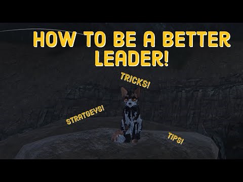 How To Be a Better Leader! -Part 2- | Warrior Cats Ultimate Edition