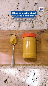 7.5K views · 4.1K reactions | Even a spoonful can be too much 樂 Check out Hill’s Pet Calorie Converter to see how human food impacts your pet. PSA: Never give your pet peanut butter with xylitol or added salt, and ask your vet before feeding them anything new. | Hill’s Pet Nutrition | Facebook