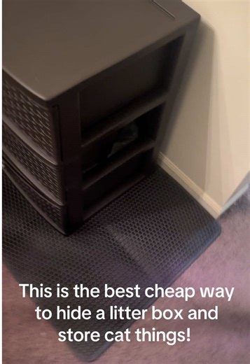 Cheap litter box enclosure 20$ organizer from Walmart and all you have to do is cut out the bottom and side of the middle drawer! Contains smells and easy to clean!