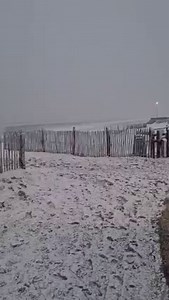 64K views · 1.5K reactions |  [NEIGE]▪️Magnifique ambiance hivernale ce dimanche à Fort-Mahon (Somme), où la plage s'est parée de son manteau blanc ! ❄️  Merci à Alcyone Fort Mahon | La Météo de la Somme | Facebook