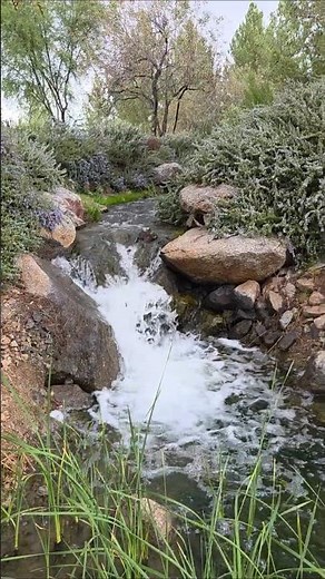 Exploring the river at sewailo golf tucson az #river #adventure #explore #travel #fyp #nature