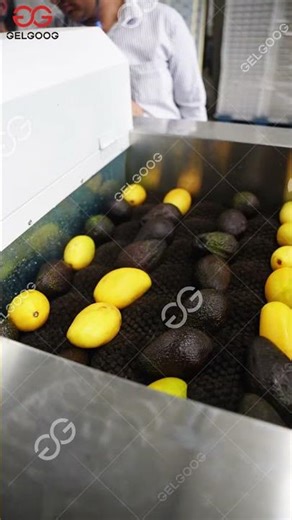 GELGOOG Mango Washing, Waxing, and Grading Production Line