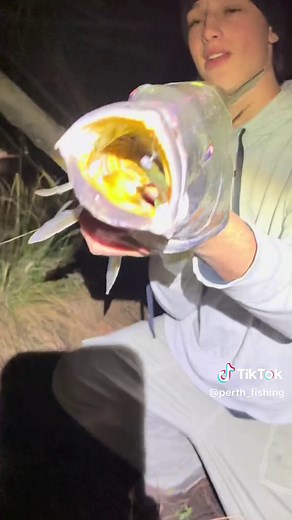 Exciting Perth Fishing Adventure | Catching Mulloway, Jewfish, and More!
