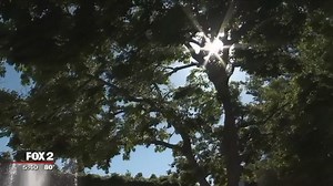 Dry heat vs. humidity: what's better for your body?