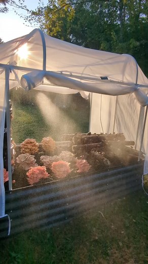 MycoSphere: Revolutionizing Mushroom Cultivation Outdoors