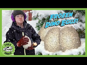FROZEN Dinosaur Eggs! T-Rex Ranch Mystery Egg Hunt in the Snow with Surprise Dinosaurs for Kids!