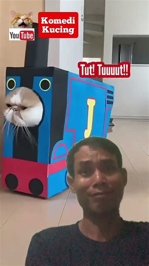 Kucing imut lucu #kucinglucu #kucing