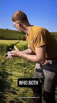 First UK Crop Circle of 2025