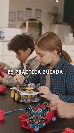 ¿Qué se aprende realmente en los cursos de BIT?