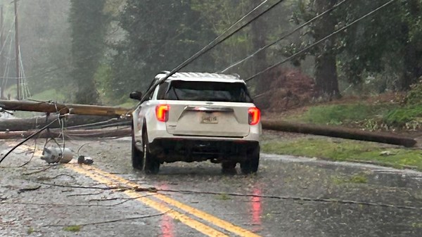 Latest updates on severe weather damage in north Georgia | Down trees and power lines spotted