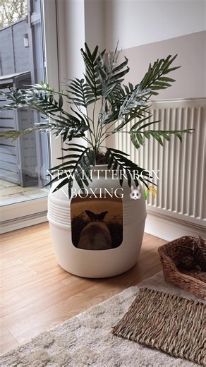 Ronnietheminilop on TikTok