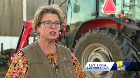 Turkey farms experience uptick in production