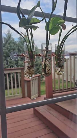 Window Hanging Copper Plant Propagation Stand - 3 Glass Vial - Etsy