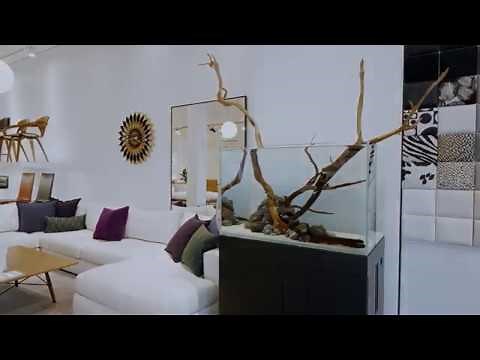 Aquarium Design Group + Design Within Reach Houston Studio