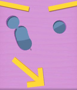 Boolean operation on mesh