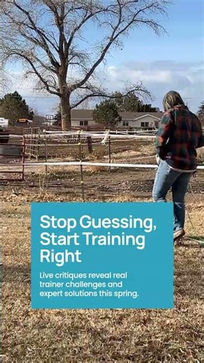 Mentor Spotlight: Tackling Spring Trainer Challenges