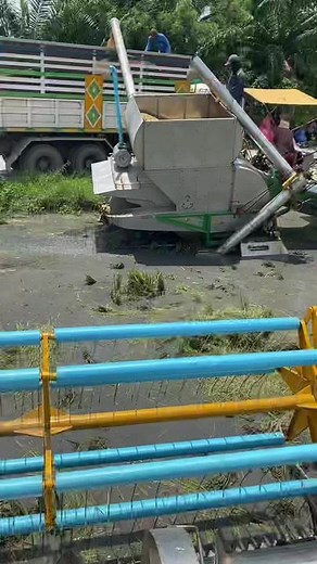 Industrial Machine for Cutting Vegetation in Wetlands