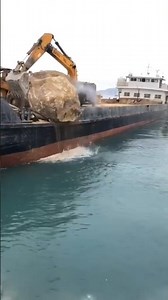 ‎Why Do Giant Ships Dump Rocks into the Sea? 😳🚢