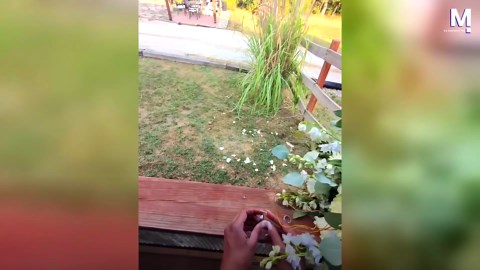 Oops! Wedding videographer drops groom's ring into tiny gap