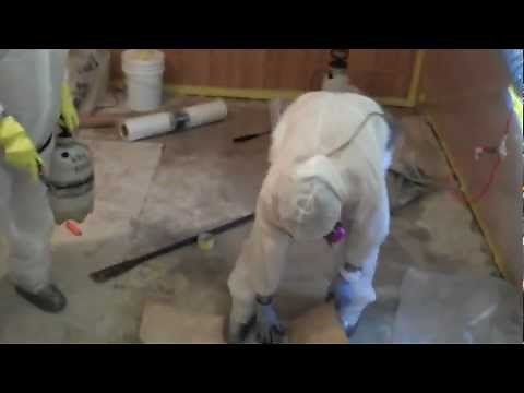Asbestos VAT/Mastic Removal.mp4