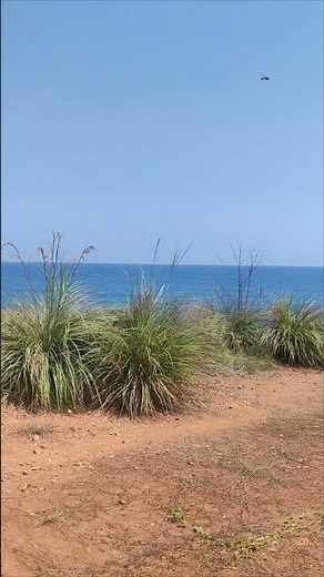 Seashore view part 1, Sual, Pangasinan #nature #naturelovers #sea