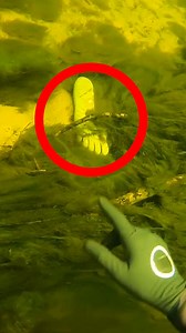 4.2M views · 49K reactions | Best Finds Of All Time!  | D ALL MY D | Facebook