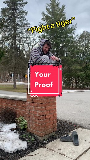 Sad Animals: Unbelievable Reality