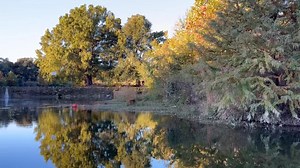 Good morning, Blanco! ☀️😍 It’s a beautiful day for a walk, run, stroll, or perhaps even a frolic through Blanco State Park! 🍁🍂 | Blanco State Park - Texas Parks and Wildlife