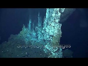 Hydrothermal Vent, Marianas Trench, Deep Sea, Pacific Ocean