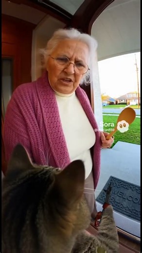 A cat shooting bullets out of a AK-47 ￼