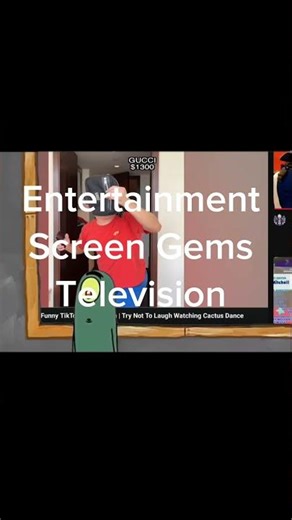 Entertainment Screen Gems Television Logo (2014)