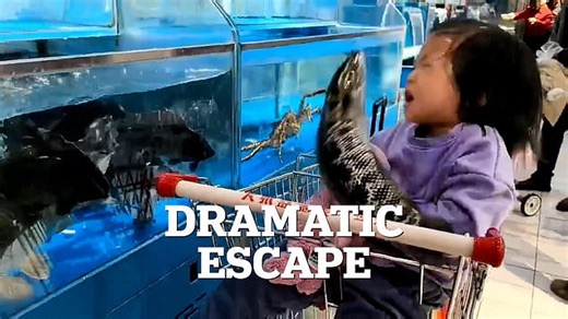 video-supermarket-fish-tank-slaps-girl.html