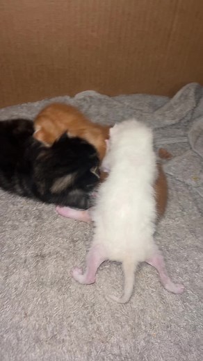 user24872394151 on TikTok