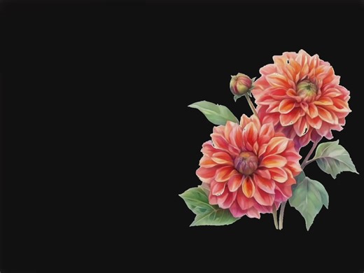 Speed Song Nightcore Lyrics Collection