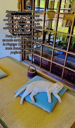 Japonia prin ochii mei Oita Ramune Onsen#ラムネ温泉Relaxare împlinitoare înconjurată de bule de argint ♨️❤️Lamune Onsen Un sentiment de trecere lentă a timpului. Un loc atât de confortabil încât vrei să stai pentru totdeauna. . .#ラムネ温泉 #大分 #ohashifamilyadventure #kyushu #japan #japantiktok #traveljapan #hotspring #japonia #travel #travelling #hotspring